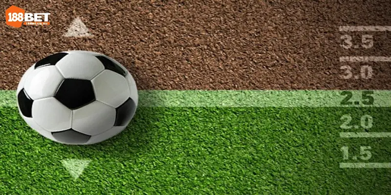 Tài Xỉu Bóng Đá Là Gì? Tìm Hiểu 5 Kèo Phổ Biến Nhất Hiện Nay 3 Chi tiết cách đọc tài xỉu bóng đá cho người mới